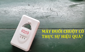 máy đuổi chuột có hiệu quả không?